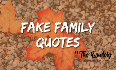 Fake Family quotes