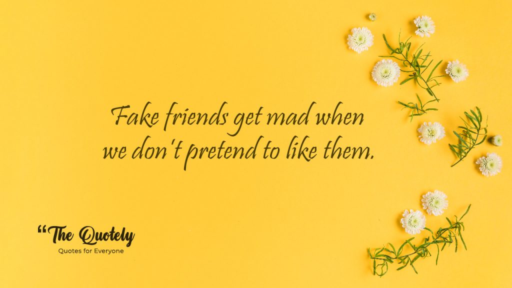 quotes about friends being fake