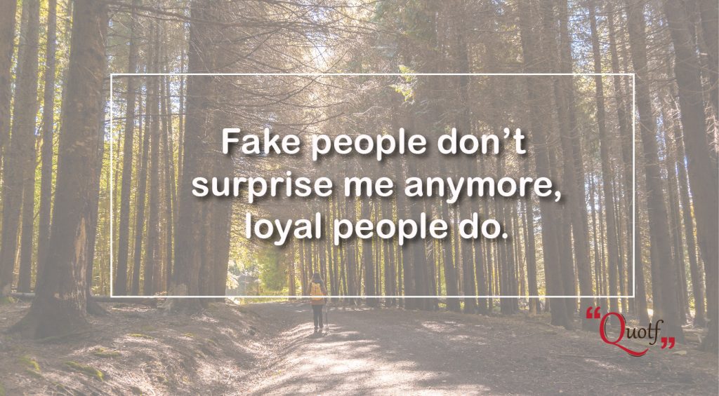 sarcastic fake people quotes
