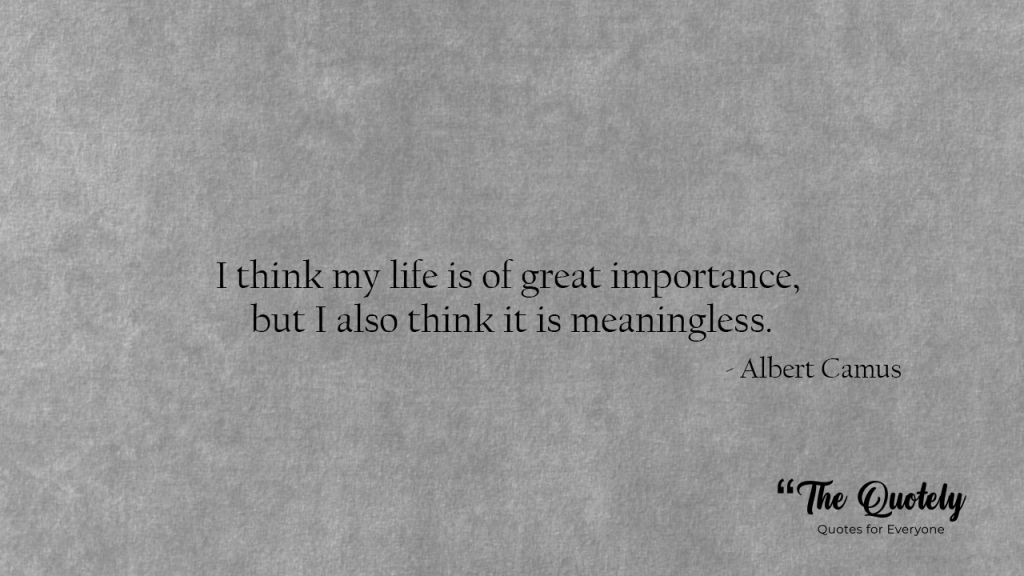 Albert Camus Quotes meaning of life
