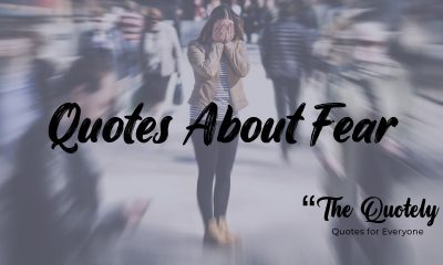 Quotes about fear