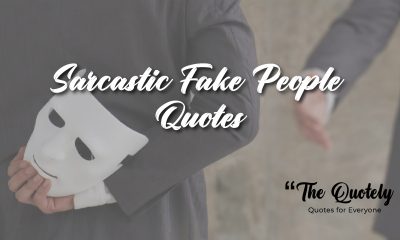 sarcastic fake people quotes