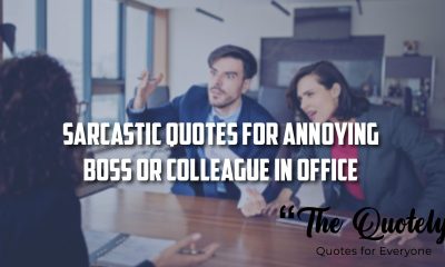 Sarcastic Quotes For Annoying Boss Or Colleague In Office-01 (1)