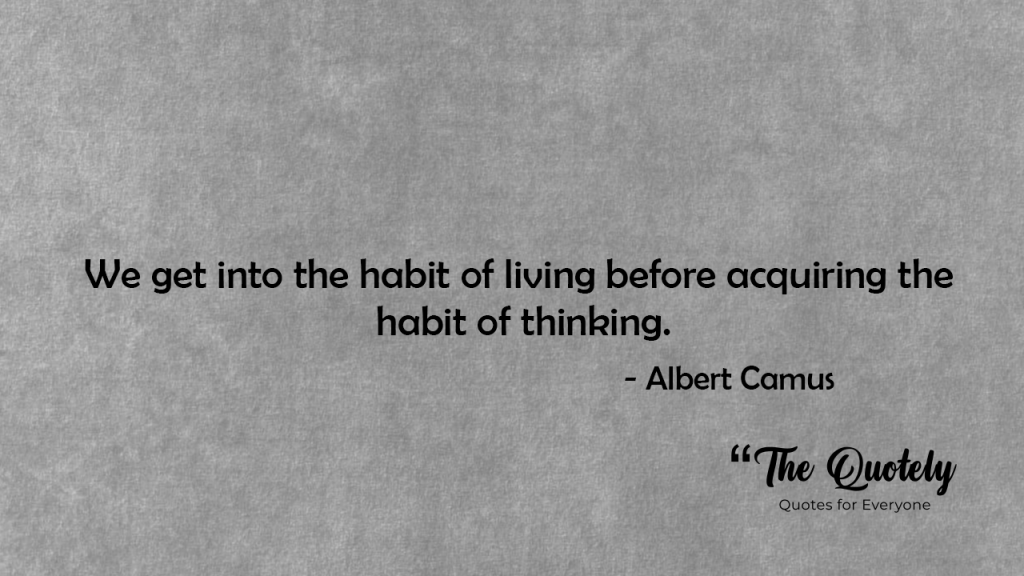 Albert Camus Quotes the stranger
