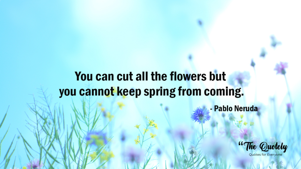 spring quotes for instagram