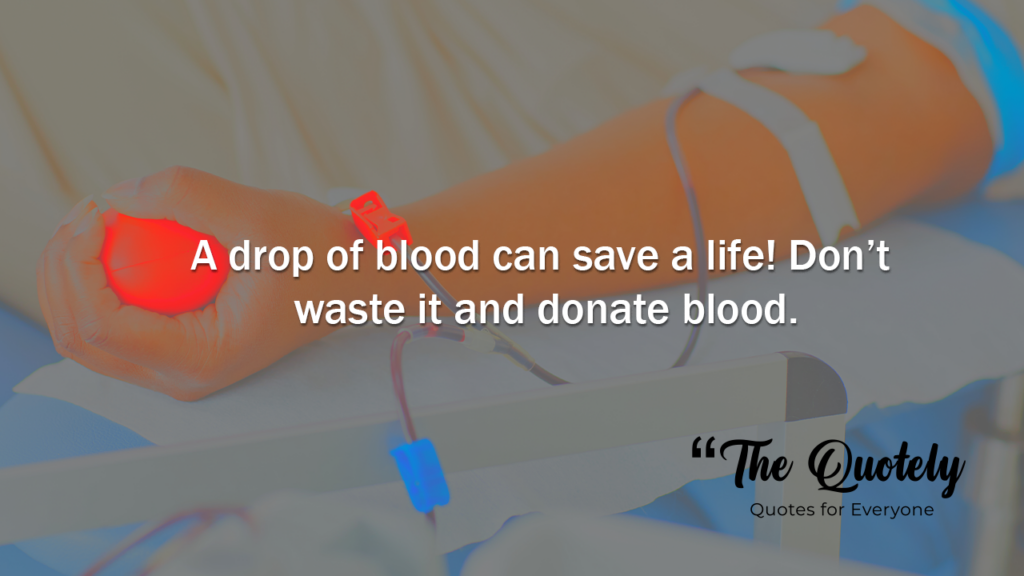 world blood donor day quotes