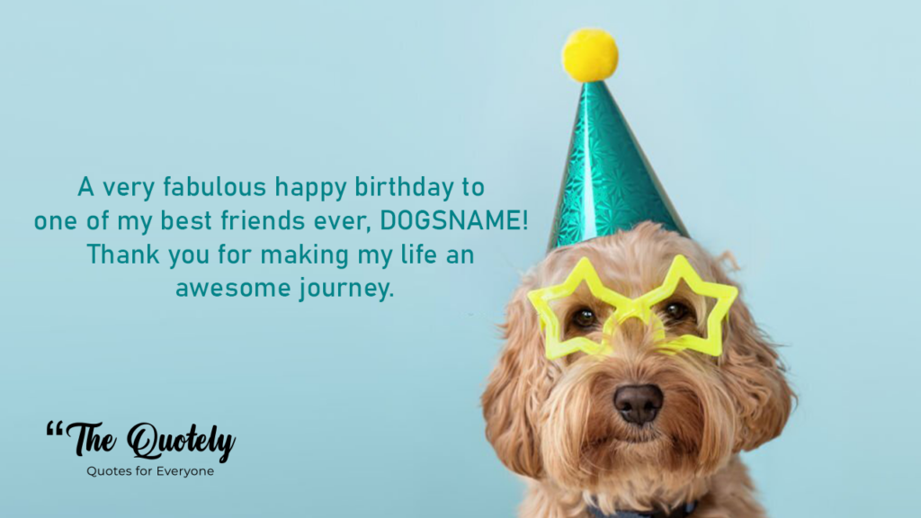 cute dog birthday wishes