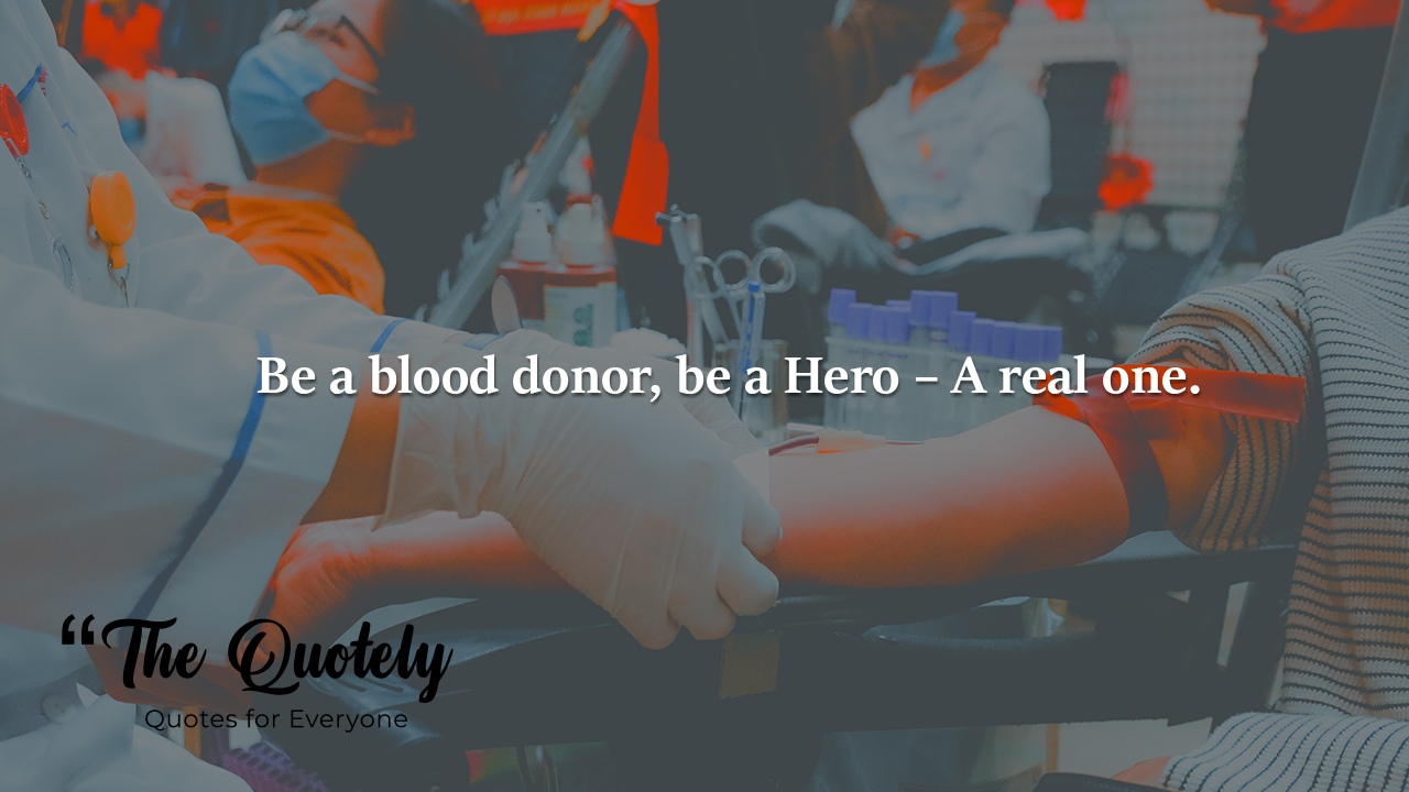 80+ Motivational Blood Donation Quotes to Save Lives