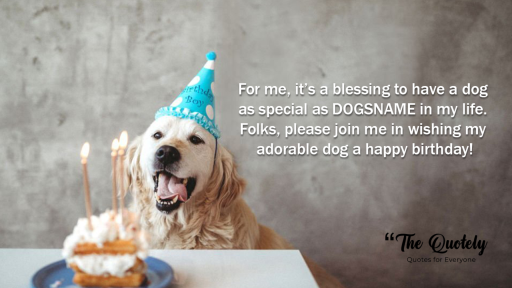 happy birthday wishes for a dog