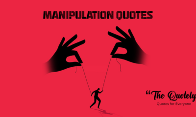 Manipulation quotes