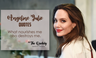 Angeline Julie Quotes