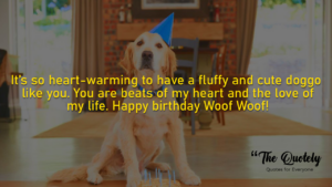 birthday message for my dog