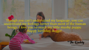 happy dog birthday