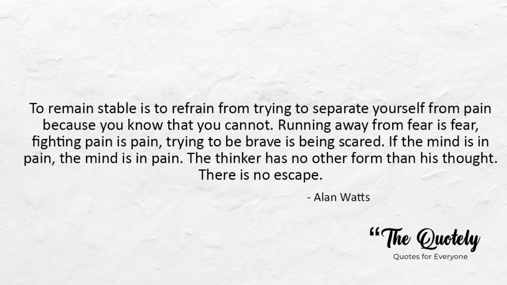 alan watts quotes about the universe