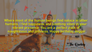 happy birthday dog wishes