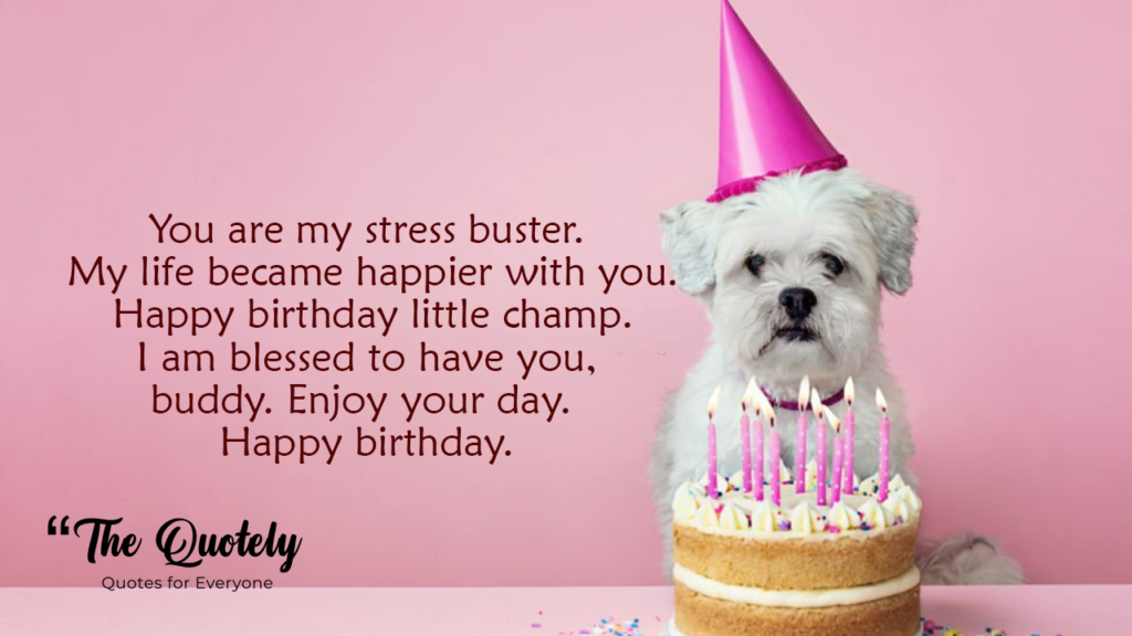 happy birthday images with dogs