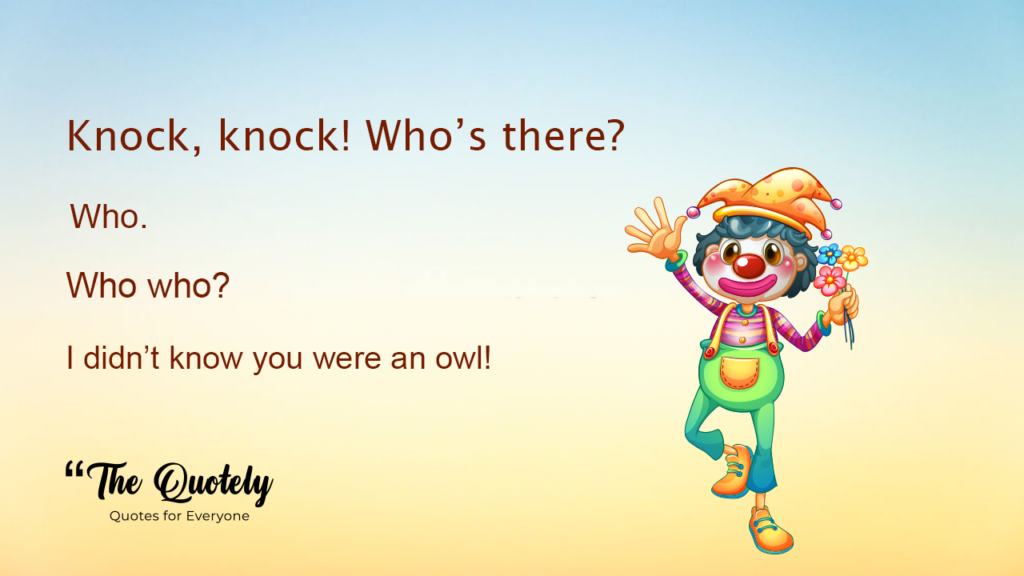 knock knock jokes for adults funny quotes