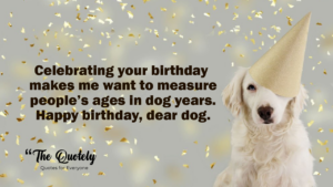happy birthday for dogs