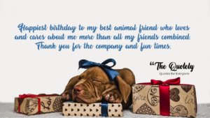 birthday wishes for dog lovers