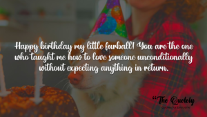 dog birthday wishes
