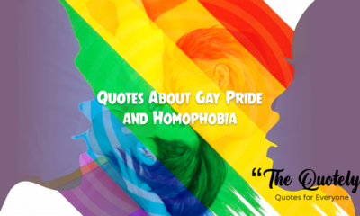 Quotes about gay pride and homophobia