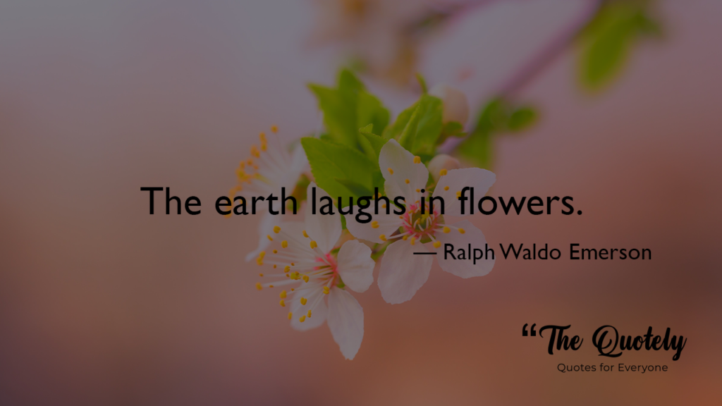 funny spring quotes