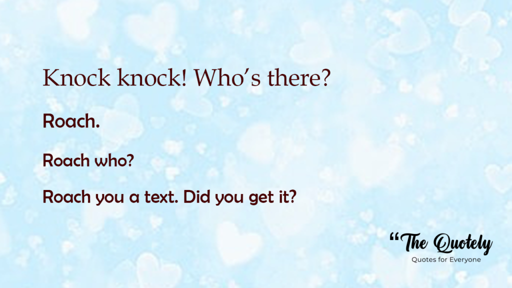 cute knock knock jokes