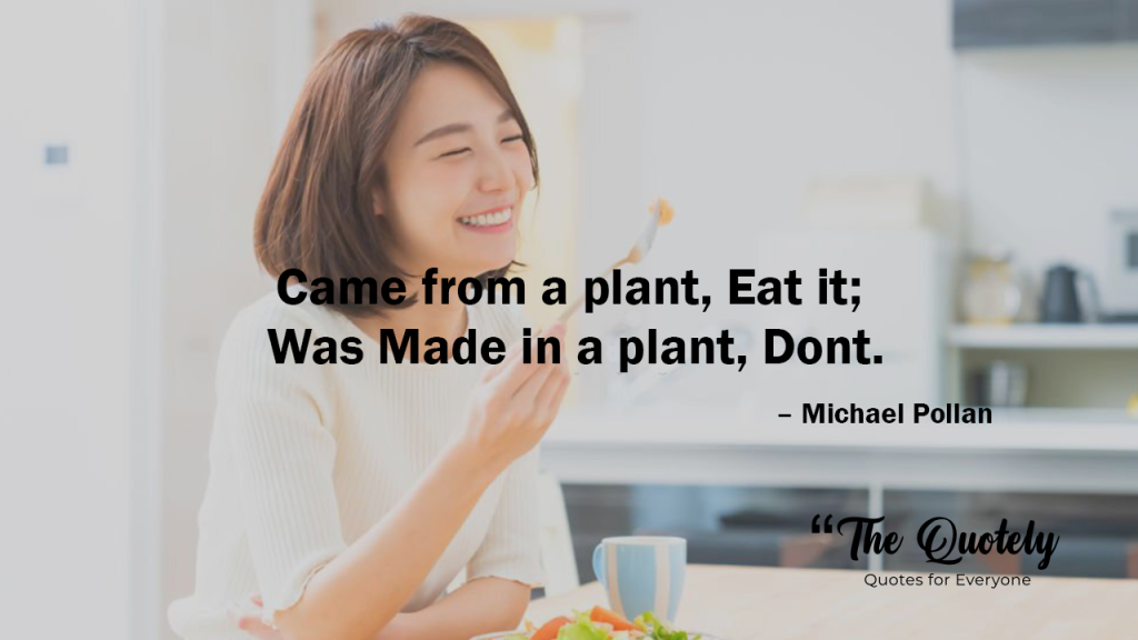 motivational diet quotes