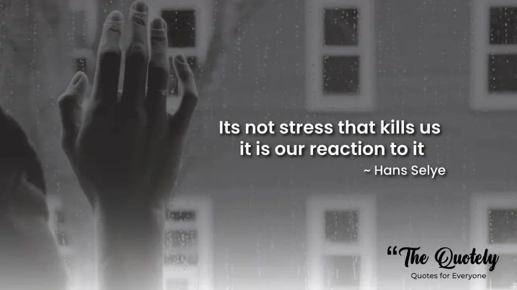 stress quotes

