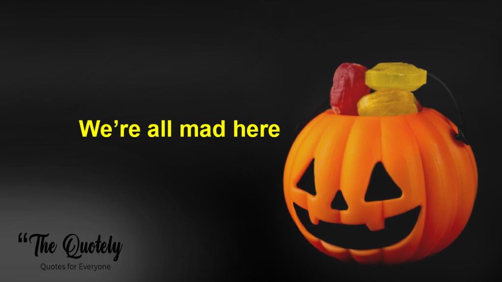 humor funny halloween quotes